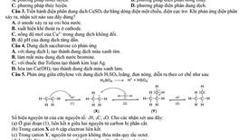 Đề thi và đáp án thi thử tốt nghiệp THPT môn Vật lý năm 2025 tỉnh Nam Định