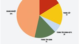 Sau sáp nhập, TP.HCM có bao nhiêu trường trung cấp, cao đẳng?