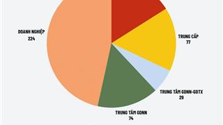 Sau sáp nhập, TP.HCM có bao nhiêu trường trung cấp, cao đẳng?