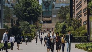 Sinh viên Việt ở Úc: cẩn thận với bẫy chào mua tài khoản ngân hàng vài trăm đô