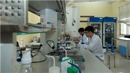 ĐH Quốc gia TP.HCM: Bài báo khoa học tăng, doanh thu chuyển giao công nghệ giảm