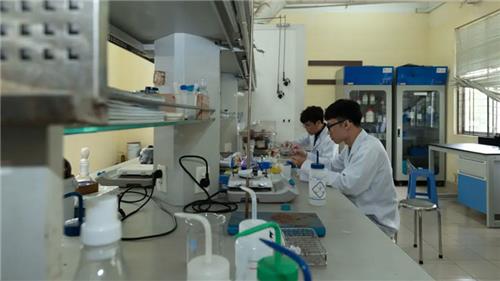 ĐH Quốc gia TP.HCM: Bài báo khoa học tăng, doanh thu chuyển giao công nghệ giảm