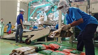 Người lao động Việt ưu tiên chỗ làm ‘chữa lành’ hơn lương cao