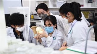 Trường ĐH Quốc tế tuyển 2.300 chỉ tiêu, áp dụng công thức xét tuyển 3 trong 1