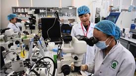 Tăng tốc đào tạo tiến sĩ: Các chương trình miễn phí