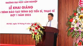 Chuẩn hóa đào tạo sau đại học: Mở rộng tự chủ nhưng siết chất lượng nghiên cứu
