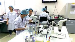 Đại học Quốc gia TP.HCM săn tìm 167 nhà khoa học, ưu đãi nghiên cứu hàng chục tỉ đồng