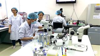 Đại học Quốc gia TP.HCM săn tìm 167 nhà khoa học, ưu đãi nghiên cứu hàng chục tỉ đồng