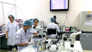 Học tiến sĩ toàn thời gian, phải có lương thỏa đáng chứ sống bằng gì?