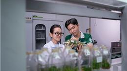 Từ giảng đường đến AstraZeneca, Bayer, Saigon Co.op - Cựu sinh viên Công nghệ Sinh học VLU đang làm gì?