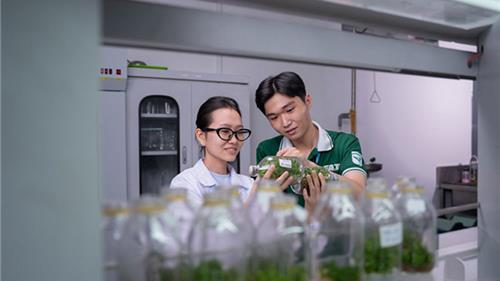 Từ giảng đường đến AstraZeneca, Bayer, Saigon Co.op - Cựu sinh viên Công nghệ Sinh học VLU đang làm gì?