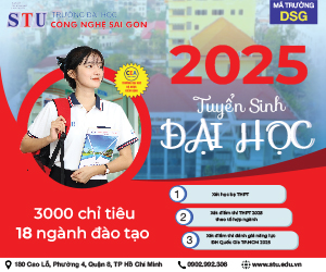 DH STU