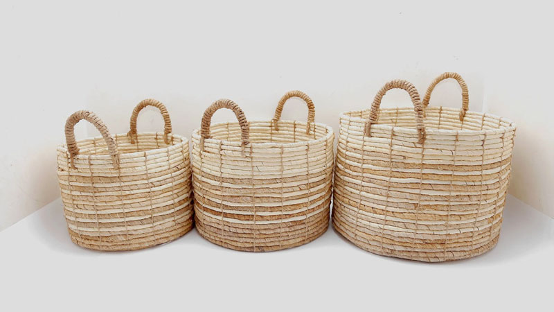 Khởi nghiệp từ bẹ chuối, thu lãi hơn 500 triệu đồng/năm