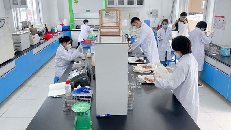 Trường đại học bắt buộc giảng viên học tiến sĩ