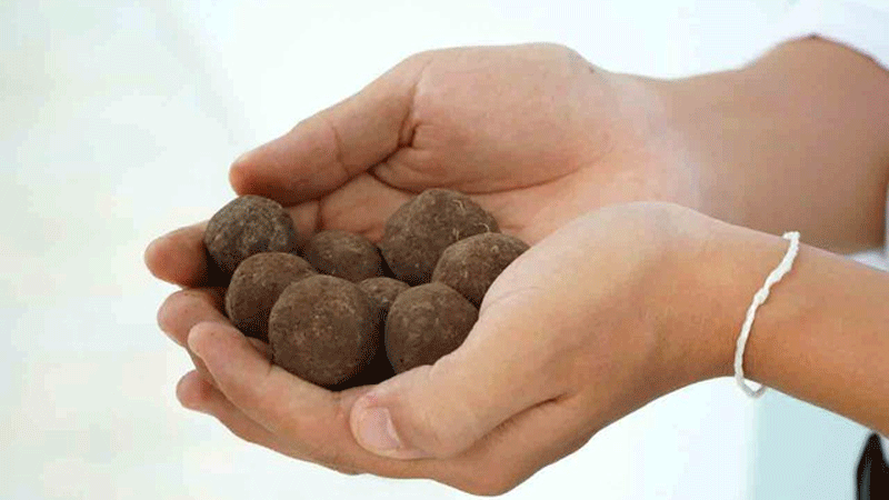 Nam sinh làm áo giáp bảo vệ hạt giống