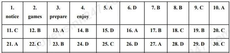 Đề thi và gợi ý đáp án đề thi tuyển sinh lớp 10 tiếng Anh tỉnh Hà Tĩnh 2025