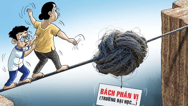 Trường đại học cũng rối với bách phân vị