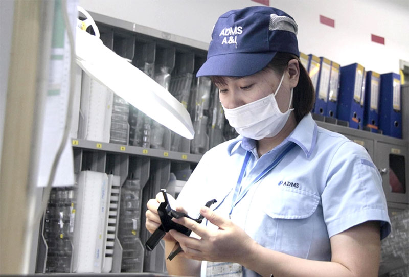 Thị trường việc làm tăng trưởng vững vàng