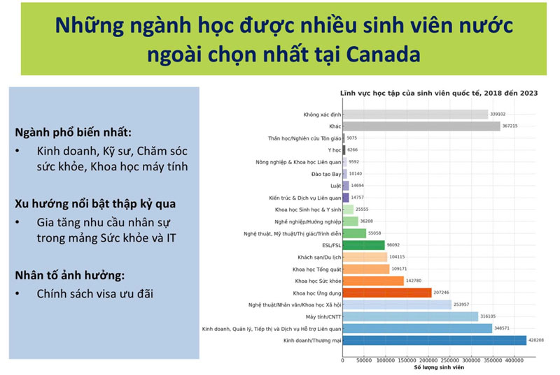 Hai ngành học ‘hot’, lương cao được nhiều du học sinh lựa chọn nhất
