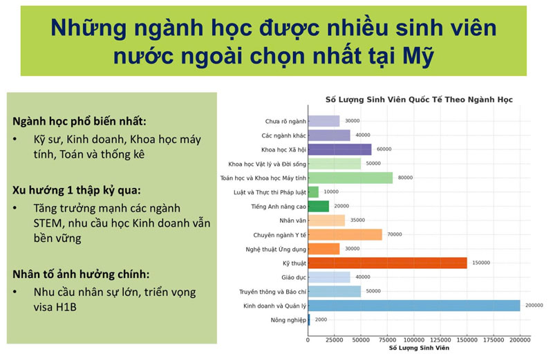 Hai ngành học ‘hot’, lương cao được nhiều du học sinh lựa chọn nhất