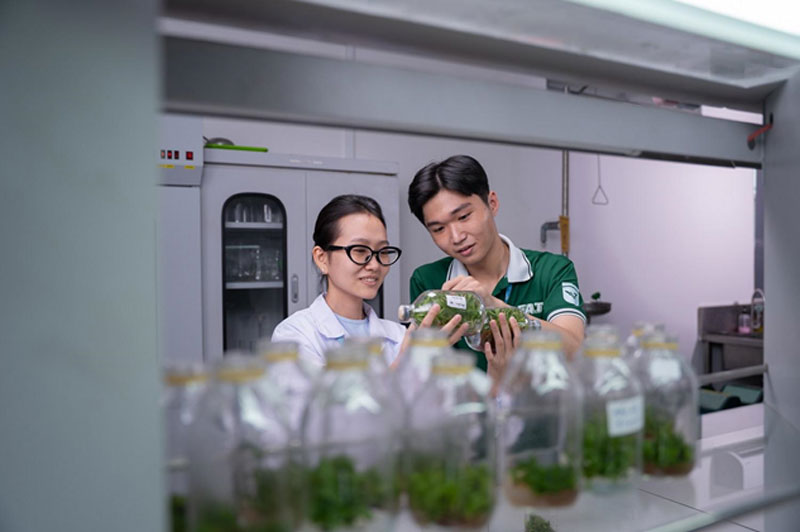 Từ giảng đường đến AstraZeneca, Bayer, Saigon Co.op - Cựu sinh viên Công nghệ Sinh học VLU đang làm gì?